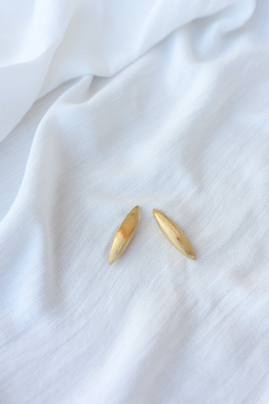 Golden Trady Earrings