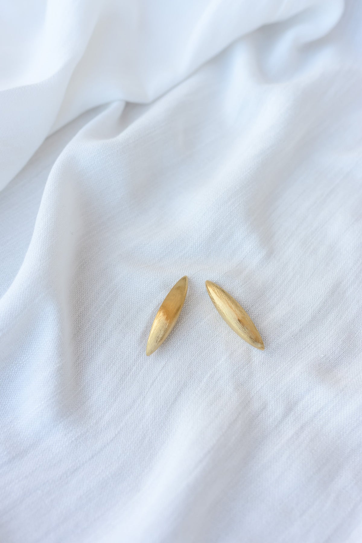 Golden Trady Earrings